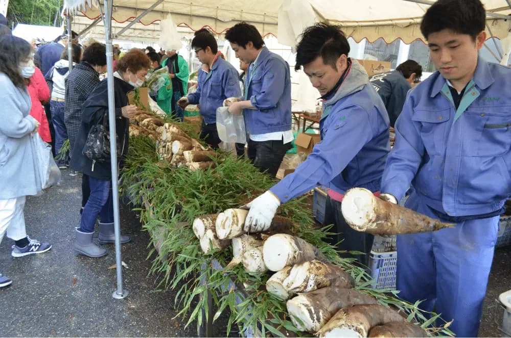 たけのこ直売の様子1